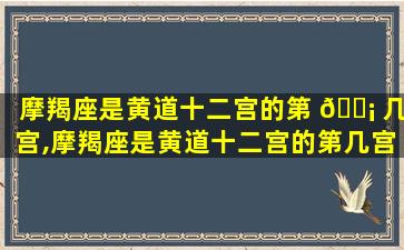 摩羯座是黄道十二宫的第 🐡 几宫,摩羯座是黄道十二宫的第几宫星座